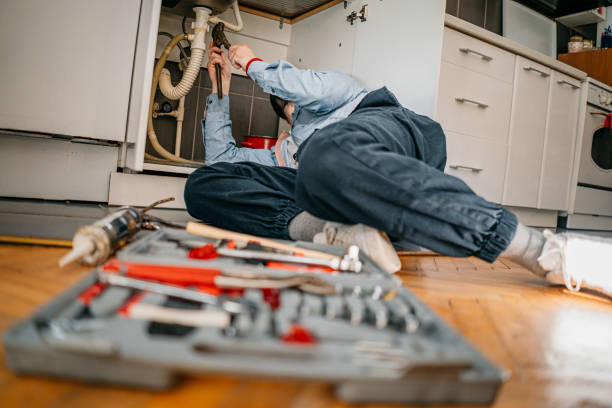 Best Clogged Drain Plumber  in Pleasant Ridge, MI