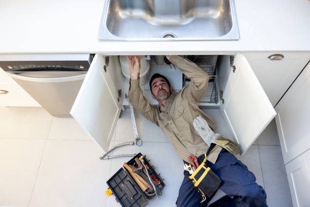 Best Drain Cleaning Services  in Pleasant Ridge, MI
